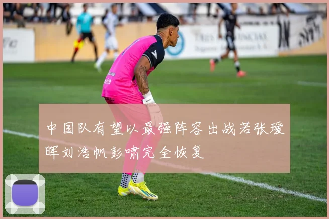 中国队有望以最强阵容出战若张瑷晖刘浩帆彭啸完全恢复