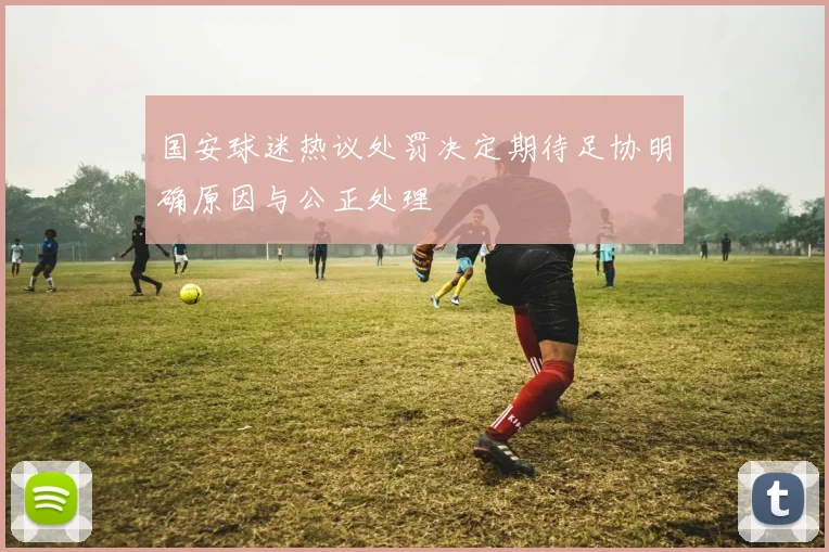 国安球迷热议处罚决定期待足协明确原因与公正处理
