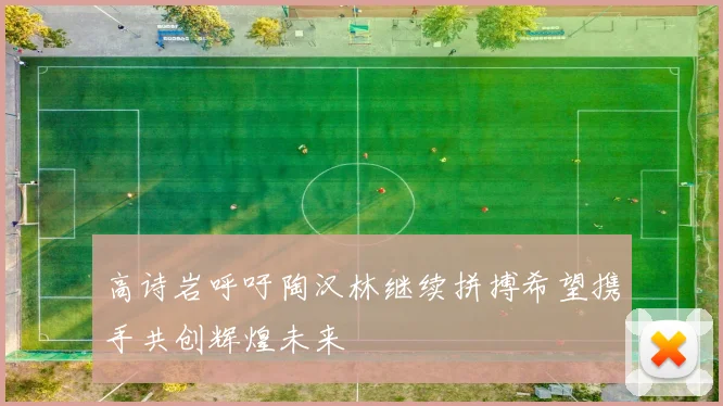 高诗岩呼吁陶汉林继续拼搏希望携手共创辉煌未来