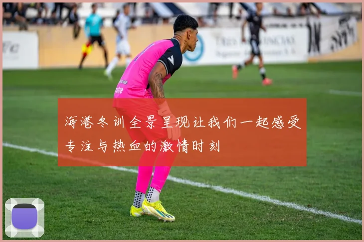 海港冬训全景呈现让我们一起感受专注与热血的激情时刻